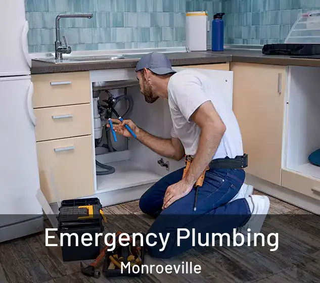  Emergency Plumbing Monroeville