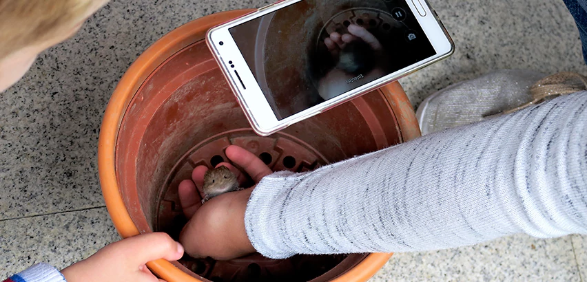 Scope of Drain Camera Inspection Services in Monroeville, PA