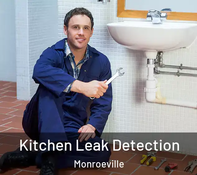 Kitchen Leak Detection Monroeville