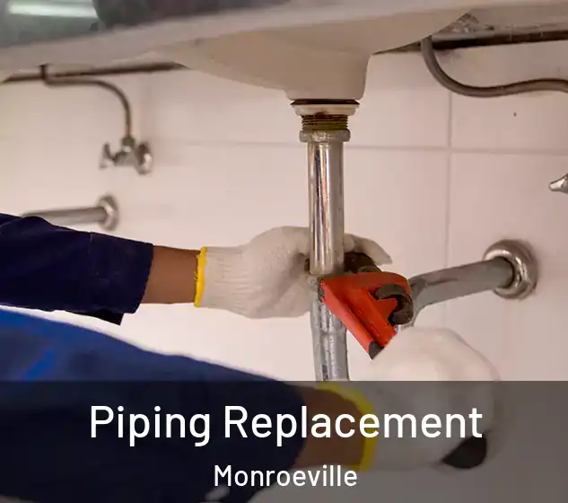  Piping Replacement Monroeville
