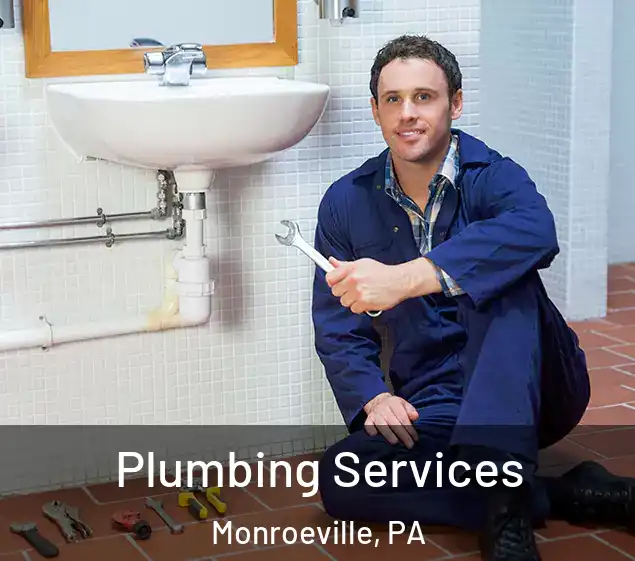  Plumbing Services Monroeville, PA