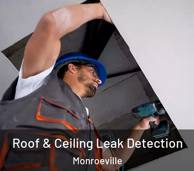  Roof & Ceiling Leak Detection Monroeville