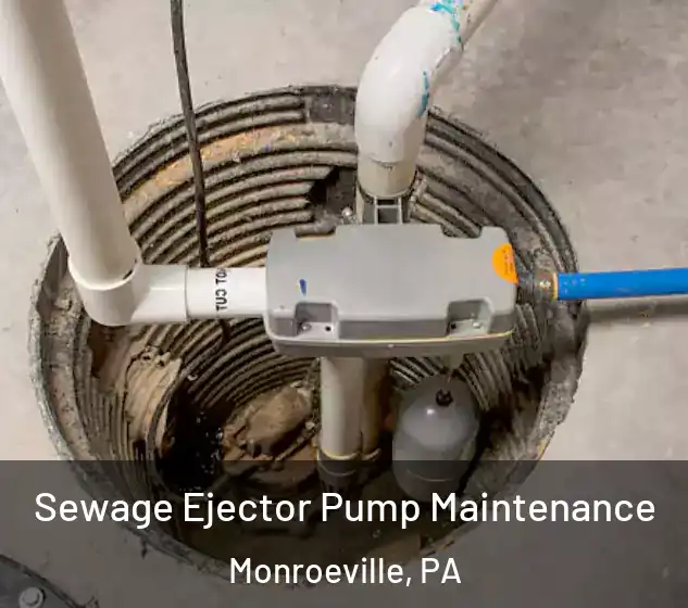  Sewage Ejector Pump Maintenance Monroeville, PA
