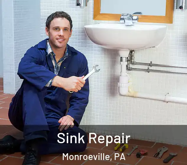  Sink Repair Monroeville, PA