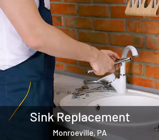  Sink Replacement Monroeville, PA