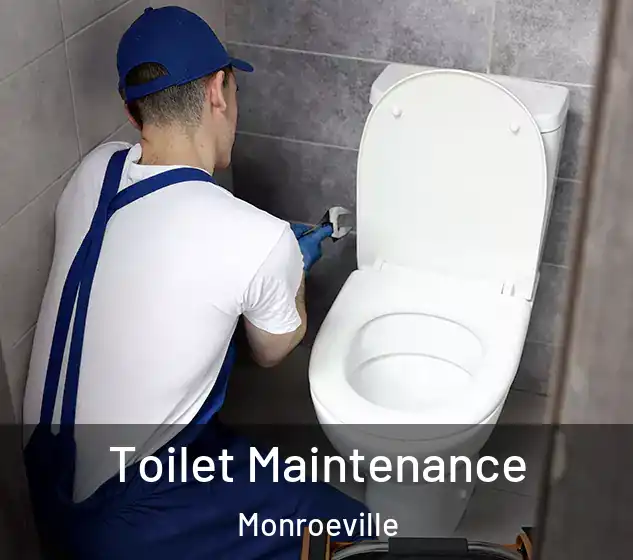  Toilet Maintenance Monroeville