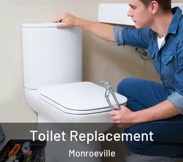  Toilet Replacement Monroeville