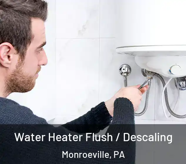  Water Heater Flush / Descaling Monroeville, PA