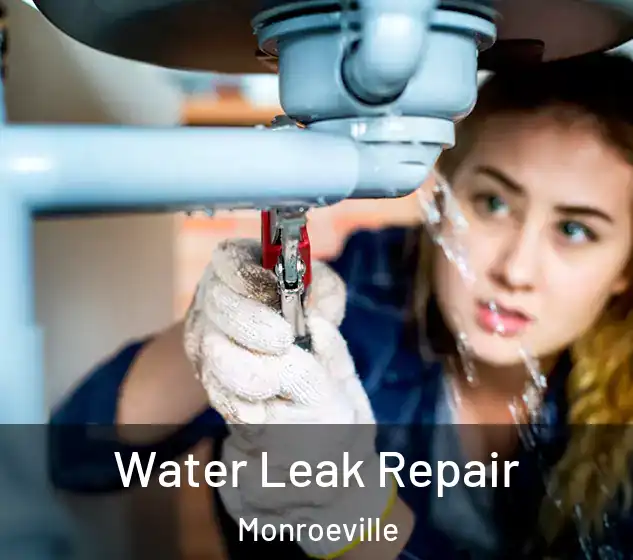  Water Leak Repair Monroeville