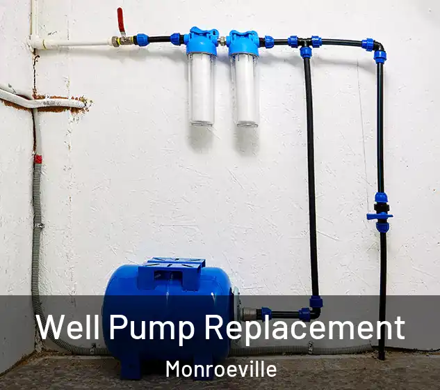  Well Pump Replacement Monroeville